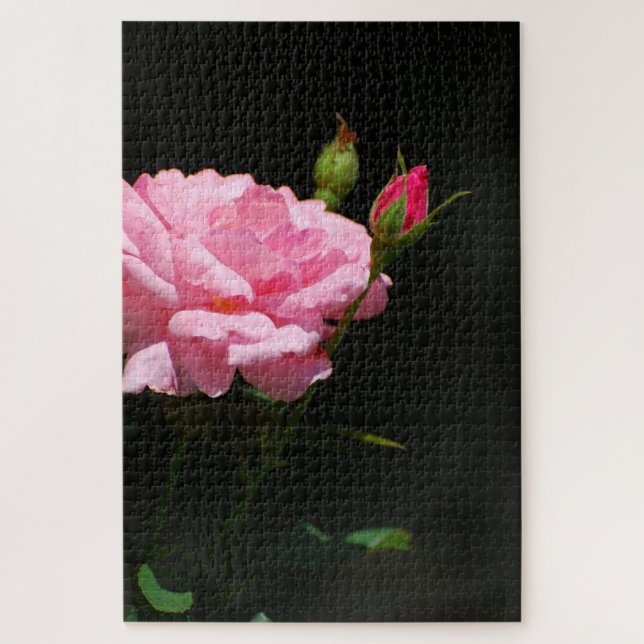 Quebra-cabeça Rosa Rosa Rosa (Vertical)