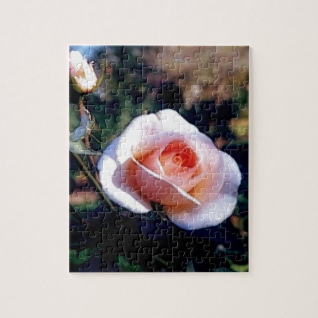 Quebra-cabeça Rosa Rosa Rosa (Vertical)