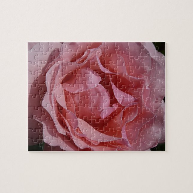 Quebra-cabeça Rosa Rosa Rosa II Bonito Floral (Horizontal)