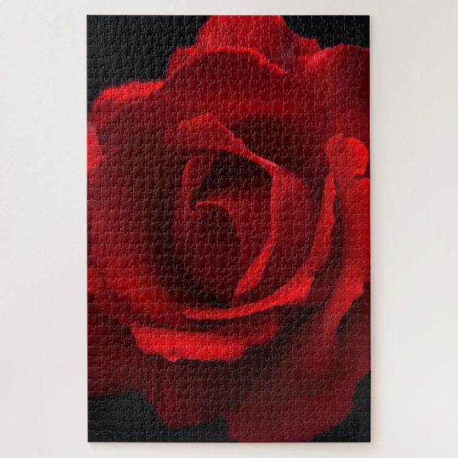 Quebra-cabeça Rosa vermelha 20x30 jpcna 1014pc (Vertical)
