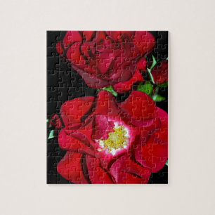 Quebra-cabeça Rosa vermelha em black.jpg