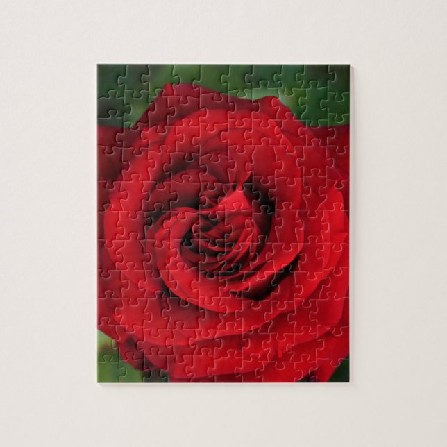 Quebra-cabeça Rosa vermelha grande Solteiro para cima Fechar (Vertical)