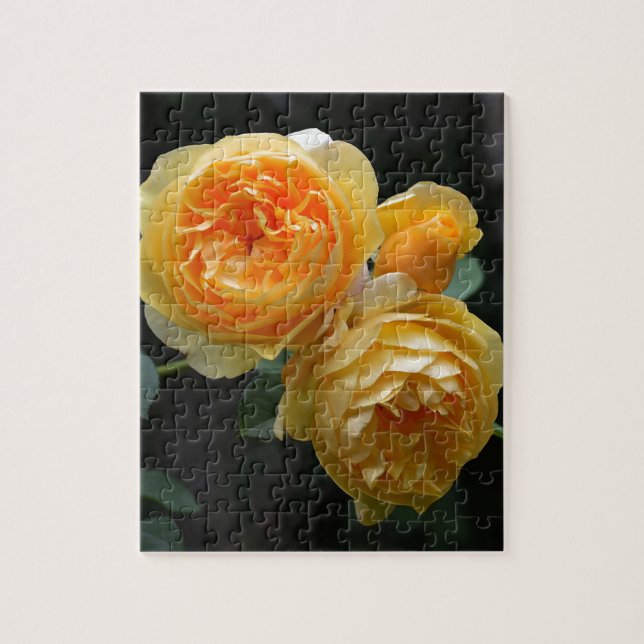 Quebra-cabeça Rosas Amarelos (Vertical)
