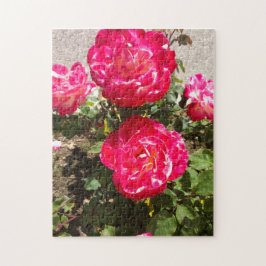 Quebra-cabeça Rosas do Jardim Vermelho