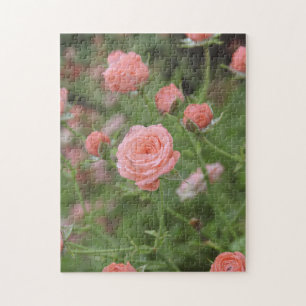 Quebra-cabeça Rosas Miniatura