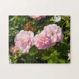 Quebra-cabeça Rosas Rosa No Jardim