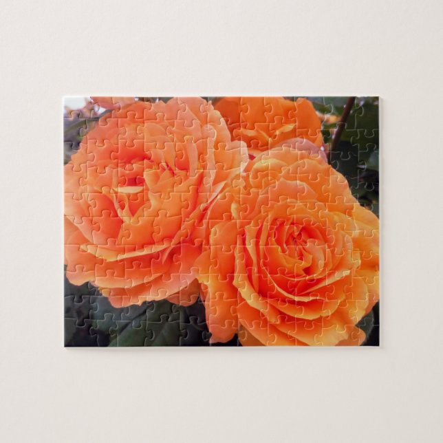 Quebra-cabeça Rosas Tangerina, Quebra-cabeça, 20 por 25 cm, 110  (Horizontal)