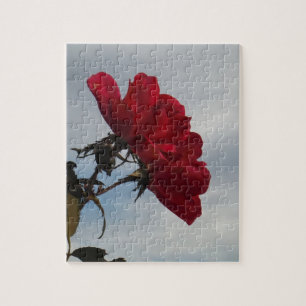 Quebra-cabeça Rosas vermelhas contra o céu azul brilhante