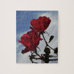 Quebra-cabeça Rosas vermelhas contra o céu azul brilhante