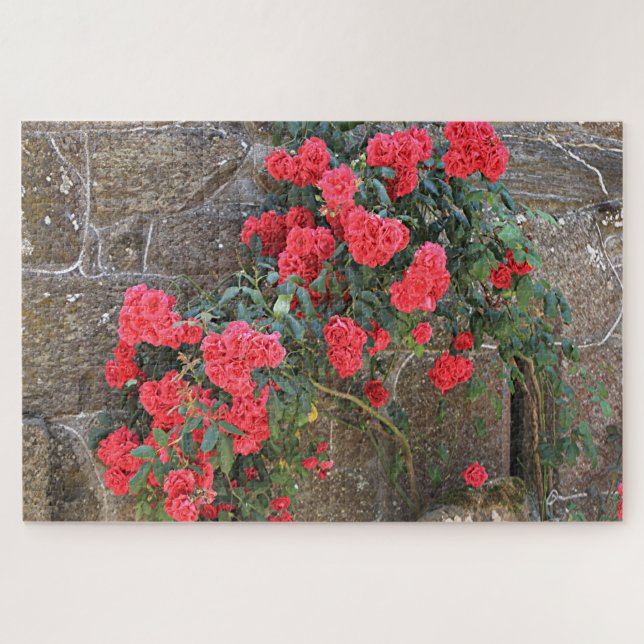 Quebra-cabeça Rosas vermelhas subindo na parede de tijolos, Espa (Horizontal)