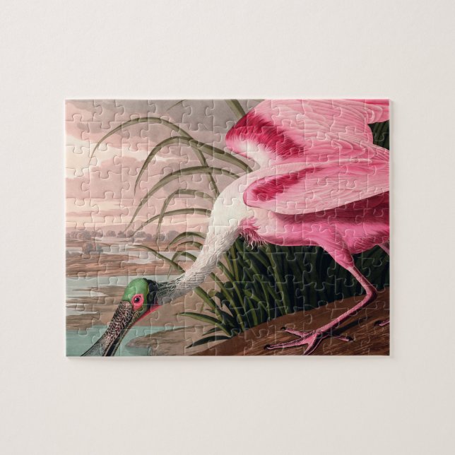 Quebra-cabeça Roseate Spoonbill Audubon Bird Willife (Horizontal)
