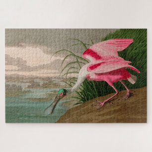 Quebra-cabeça Roseate Spoonbill Birds, Impressão da América Au