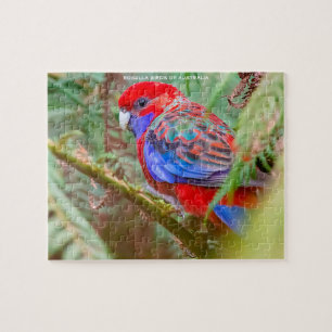 Quebra-cabeça Rosella Aves da Austrália