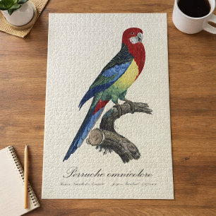 Quebra-cabeça Rosella-oriental ou periquito Platycercus eximius