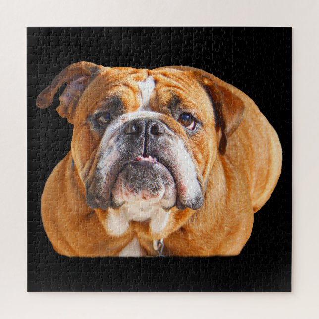 Quebra-cabeça Rosto de Bulldog - Bulldog Inglês, Brown (Vertical)