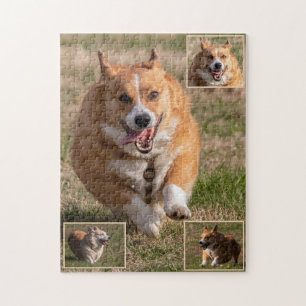 Quebra-cabeça Rostos Felizes Correndo Corgis