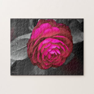 Quebra-cabeça Rosy Camellia