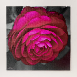 Quebra-cabeça Rosy Camellia