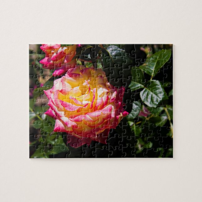 Quebra-cabeça Rosy Glow (Horizontal)