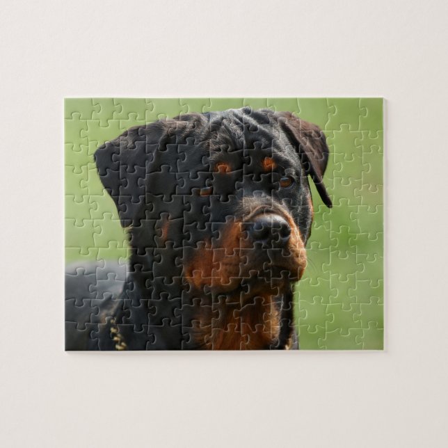 Quebra-cabeça Rottweiler (Horizontal)