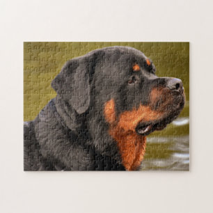 Quebra-cabeça Rottweiler