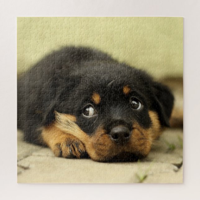 Quebra-cabeça Rottweiler Adorável (Vertical)