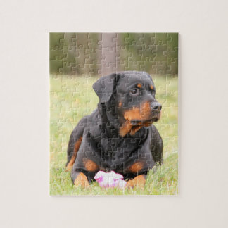 Quebra-cabeça Rottweiler bonito grande