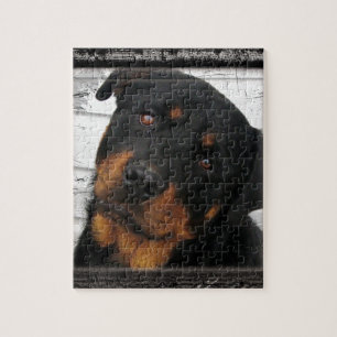 Quebra-cabeça Rottweiler personalizado