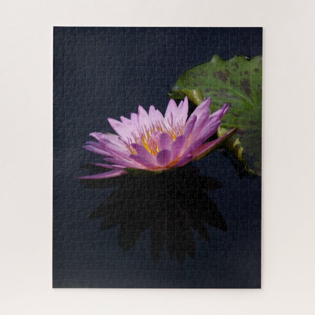Quebra-cabeça roxo, cor-de-rosa, Waterlily (Vertical)