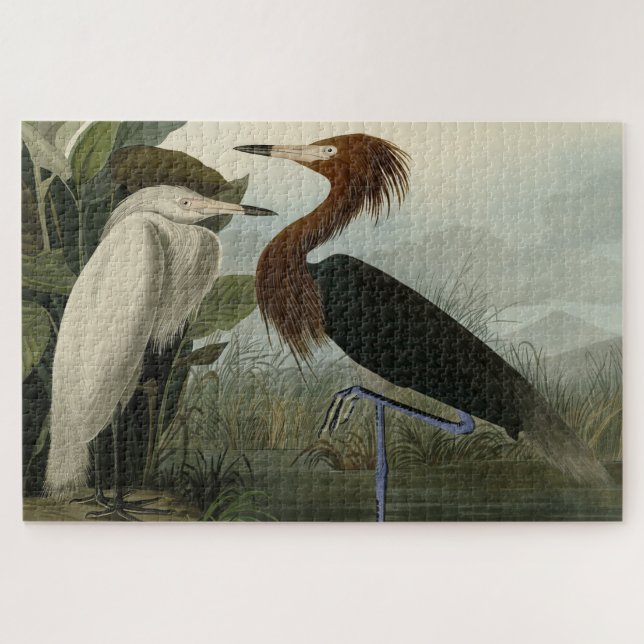 Quebra-cabeça Roxo Heron - das Aves da América de Audubon (Horizontal)