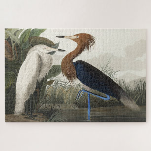 Quebra-cabeça Roxo Heron de Birds da América