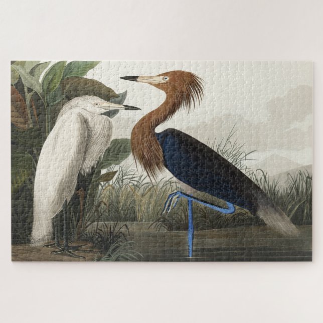 Quebra-cabeça Roxo Heron de Birds da América (Horizontal)