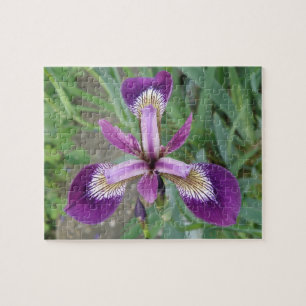 Quebra-cabeça Roxo Iris