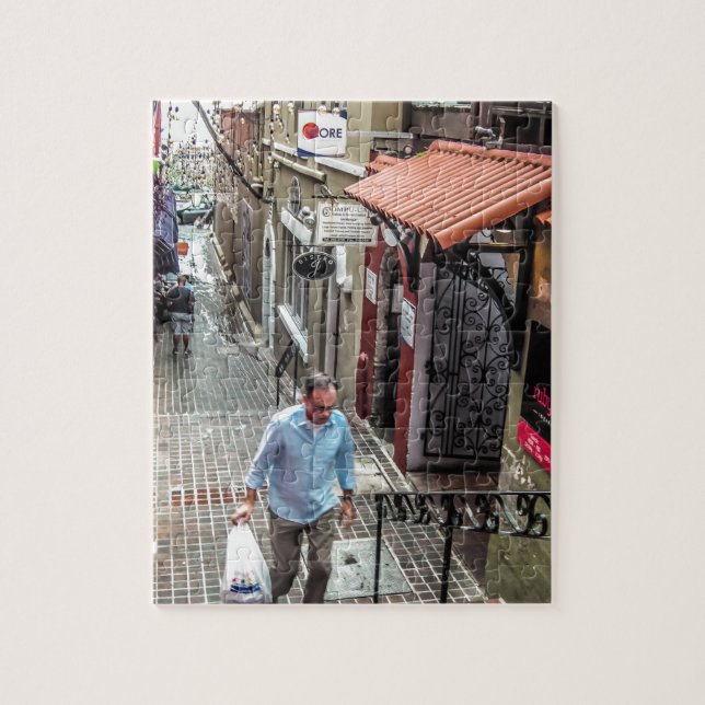 Quebra-cabeça Rua traseira de Hamilton (Vertical)