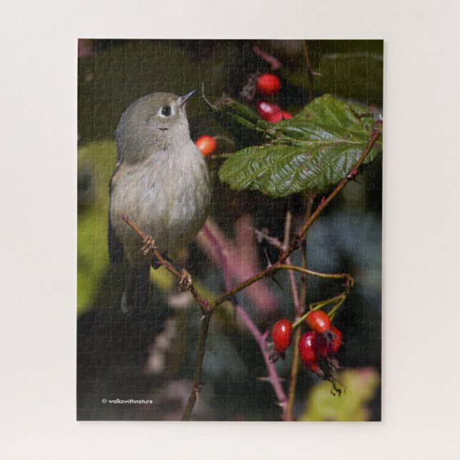 Quebra-cabeça Ruby Crowned Kinglet Songbird no Hawthorn Bush (Vertical)