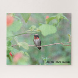 Quebra-cabeça Ruby Throated Hummingbird, do amante de aves