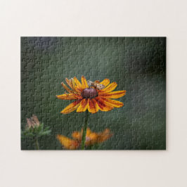 Quebra-cabeça Rudbeckia Sitting Pretty Puzzle