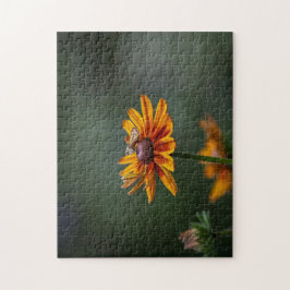 Quebra-cabeça Rudbeckia Sitting Pretty Puzzle