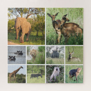 Quebra-cabeça safari africano