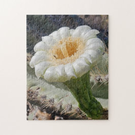Quebra-cabeça Saguaro in Bloom Puzzle, 11" x 14", 252 pieces