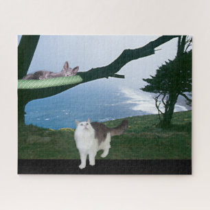 Quebra-cabeça - Saída em um Limb