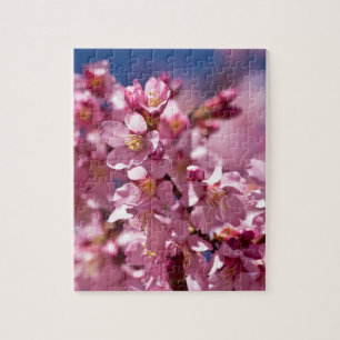 Quebra-cabeça Sakura Cherry Blossoms beijados à luz do sol