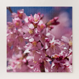 Quebra-cabeça Sakura Cherry Blossoms beijados à luz do sol