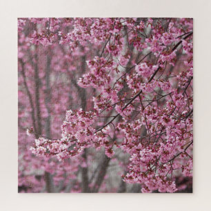 Quebra-cabeça Sakura Cherry Blossoms Fluindo Rosa