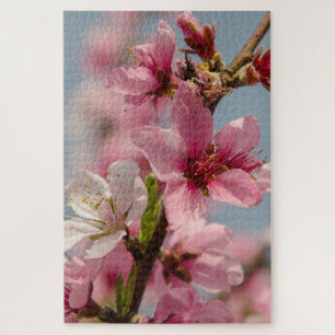 Quebra-cabeça Sakura Splendor: Fotografia da Flor Japonesa Rosa