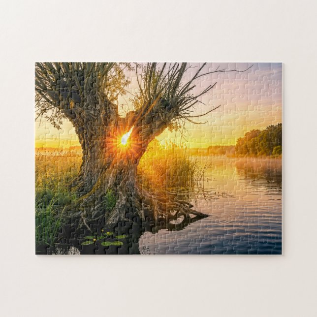 Quebra-cabeça Salgueiro podado ao nascer do sol enevoado junto a (Horizontal)