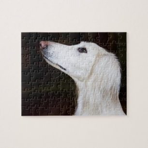 Quebra-cabeça Saluki que olha acima