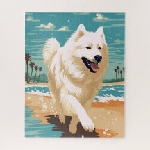 Samoyed na praia