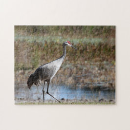 Quebra-cabeça Sandhill Crane