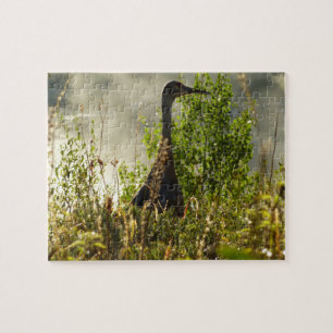 Quebra-cabeça Sandhill Crane em Moose Ponds em Grand Teton